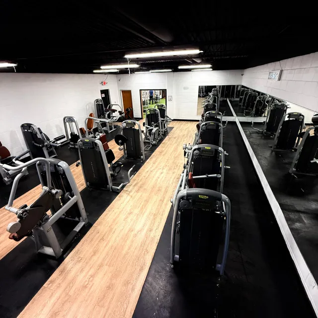 Row of treadmills and cardio machines on the main gym floor