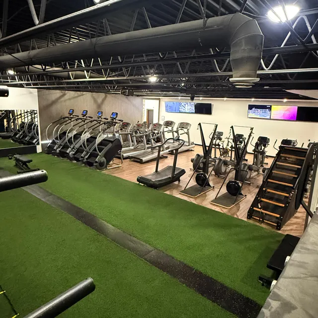 Turf-floored cardio and functional training area