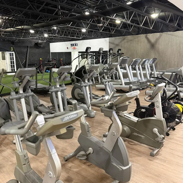 Cardio equipment lined up along the gym floor