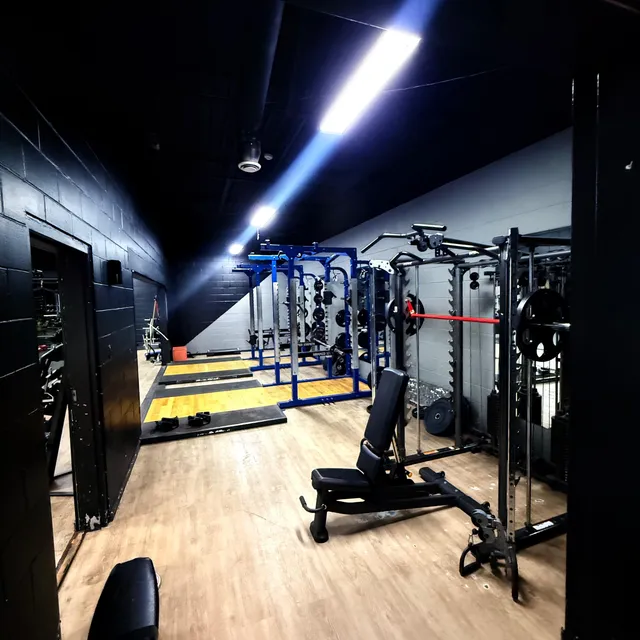 Squat rack and bench area on turf flooring