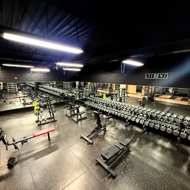 Elevated view of the free weights and bench area